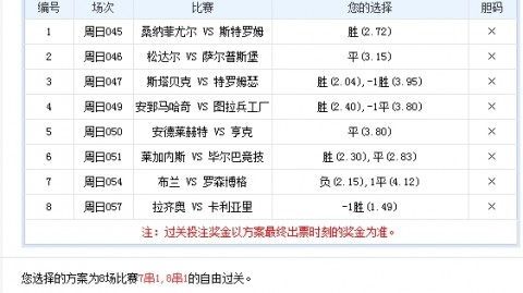 章鱼网球比分预测：16年前球童今成队长 匈牙利PK残阵葡萄牙能否终结26年魔咒？
